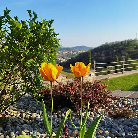 Duno A Un Passo Da Citta Alta Orman Evi *