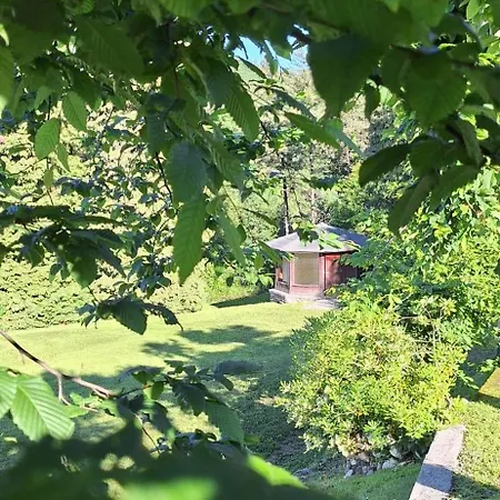 Orman Evi Duno A Un Passo Da Citta Alta *