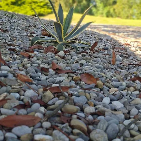 Duno A Un Passo Da Citta Alta Orman Evi *