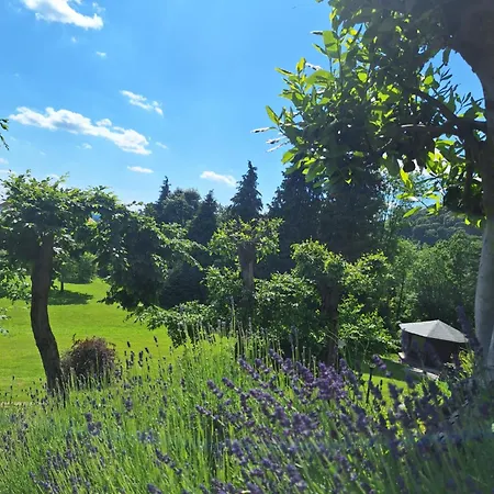 Orman Evi Duno A Un Passo Da Citta Alta *