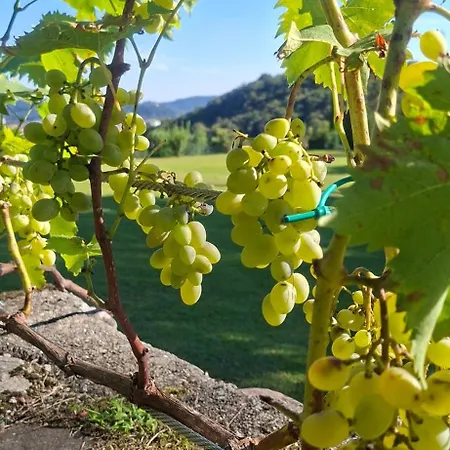 Duno A Un Passo Da Citta Alta Orman Evi Clanezzo