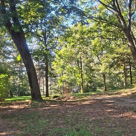 Orman Evi Duno A Un Passo Da Citta Alta