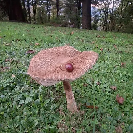 Duno A Un Passo Da Citta Alta *