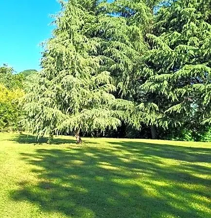 Duno A Un Passo Da Citta Alta Gerendaház *