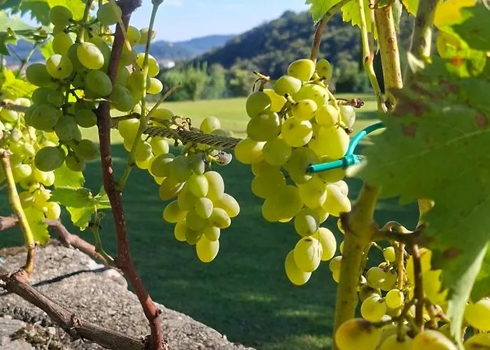 Duno A Un Passo Da Citta Alta Lodge Clanezzo